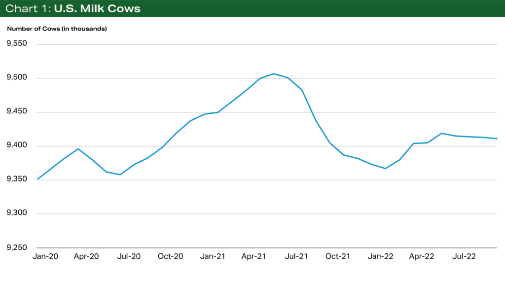 Terrain | Downside Dairy Demand Risks Face Modest Supply Growth