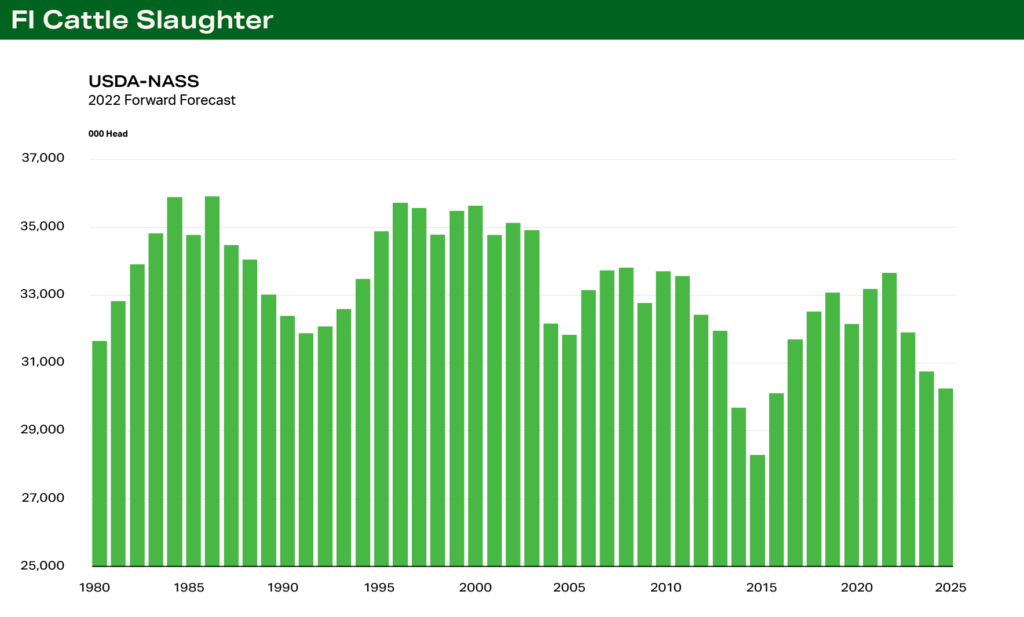 Terrain Chart 2 - Cattle FI Cattle Slaughter Terrain Chart 2 - Cattle FI Cattle Slaughter