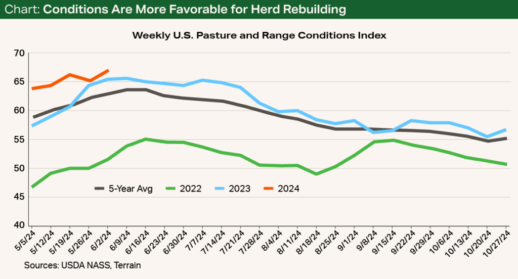 Chart - Conditions Are More Favorable for Herd Rebuilding Chart - Conditions Are More Favorable for Herd Rebuilding
