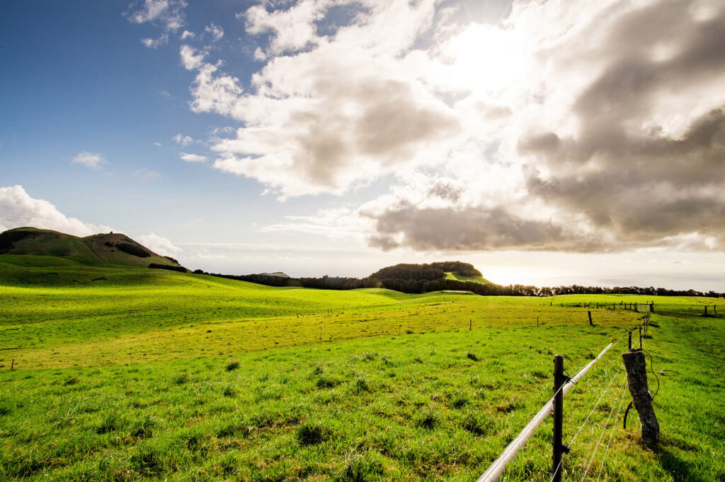 View looking out over grassy field under beautiful sky