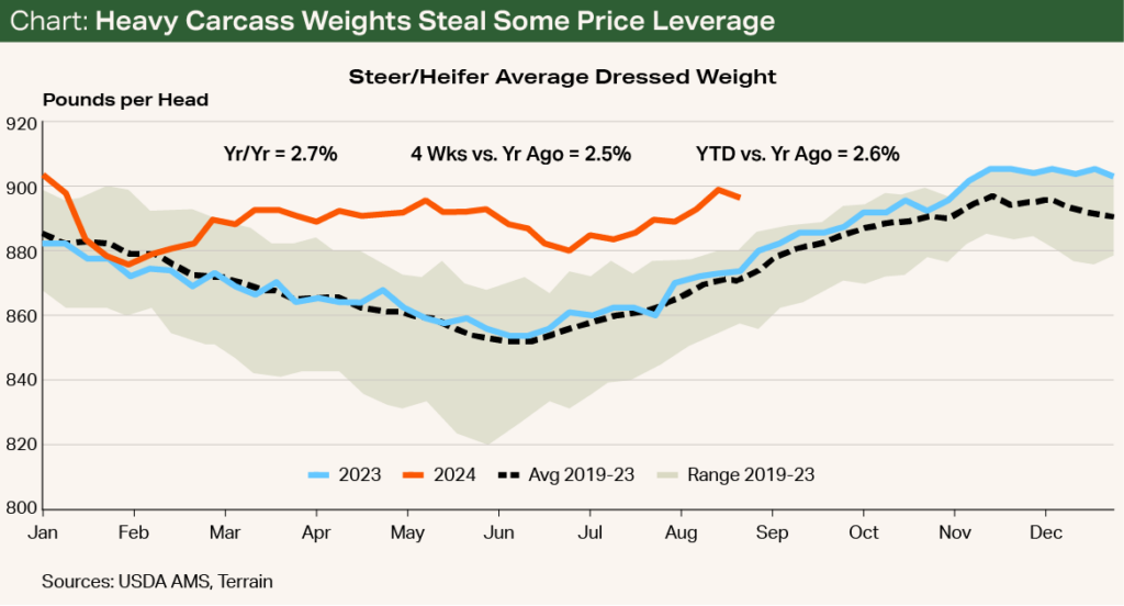 Chart - Heavy Carcass Weights Steal Some Price Leverage