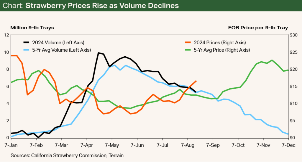 Chart - Strawberry Prices Rise as Volume Declines