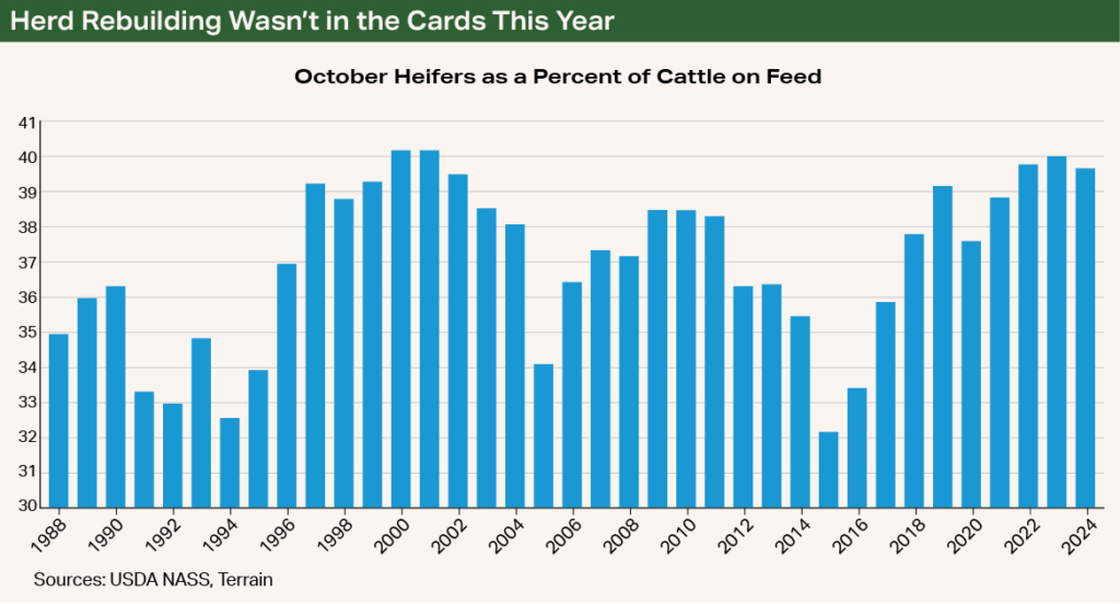Chart - Herd Rebuilding Wasn't in the Cards This Year Chart - Herd Rebuilding Wasn't in the Cards This Year