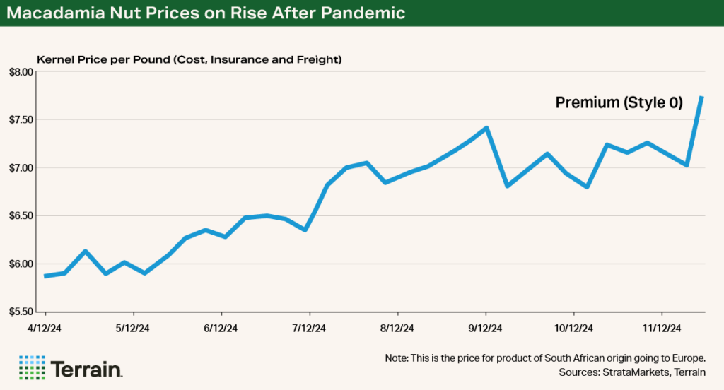 Chart - Macadamia Nut Prices on Rise After Pandemic