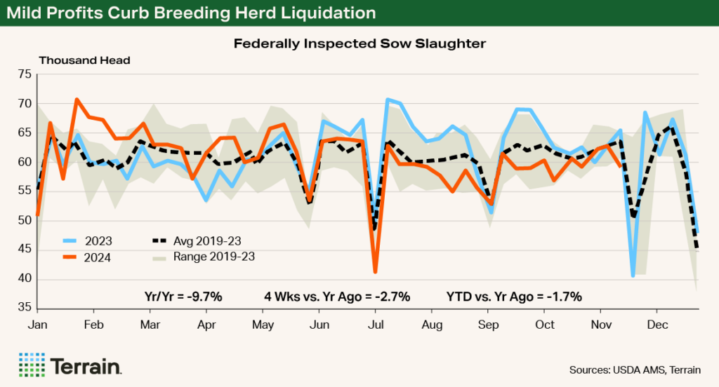 Chart - Mild Profits Curb Breeding Herd Liquidation