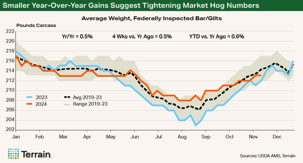 Chart - Smaller Year-Over-Year Gains Suggest Tightening Market Hog Numbers