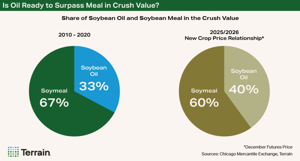 Chart - Is Oil Ready to Surpass Meal in Crush Value?