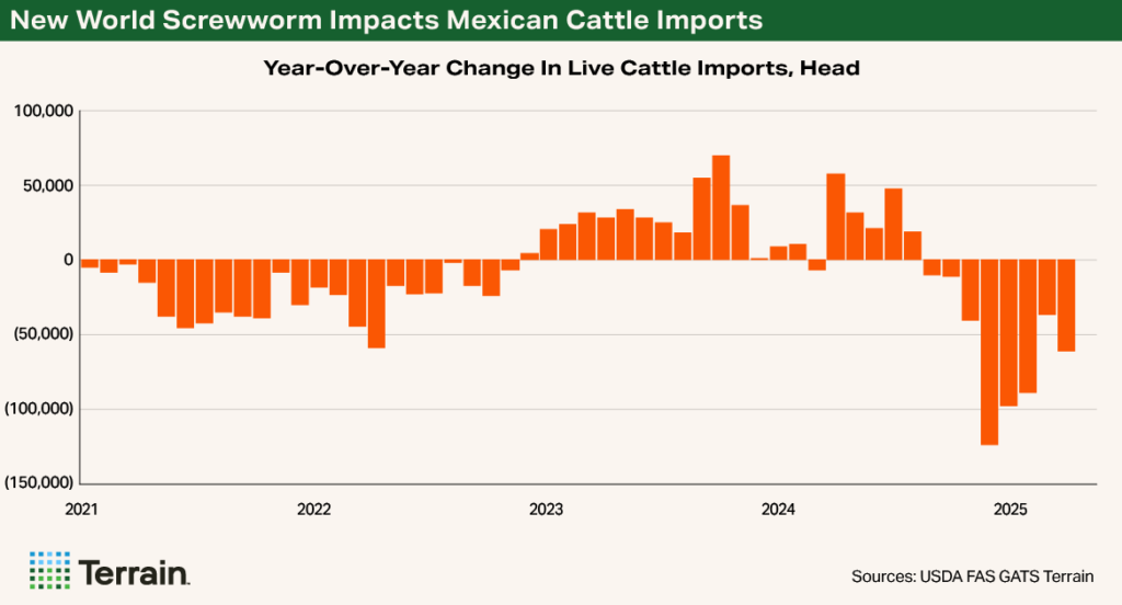 Chart 2 Beef Q3 2025 - New World Screwworm Impacts Mexican Cattle Imports Chart 2 Beef Q3 2025 - New World Screwworm Impacts Mexican Cattle Imports