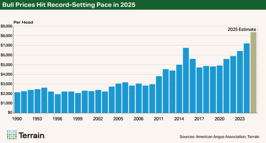 Chart 1 NCBA September 2025 - Bull Prives Hit Record-Setting Pace in 2025 Chart 1 NCBA September 2025 - Bull Prives Hit Record-Setting Pace in 2025