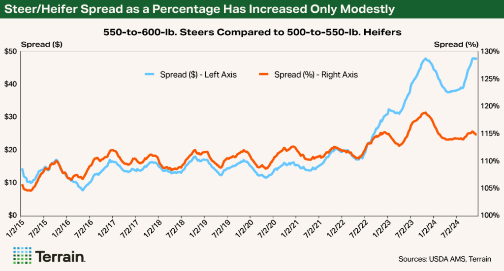 NCBA August 2025 Chart - Steer/Heifer Spread as a Percentage Has Increased Only Modestly NCBA August 2025 Chart - Steer/Heifer Spread as a Percentage Has Increased Only Modestly