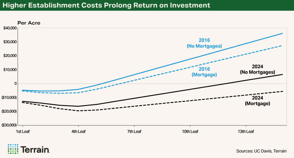 Q1 2026 Almonds Chart - Higher Establishment Costs Prolong Return on Investment Q1 2026 Almonds Chart - Higher Establishment Costs Prolong Return on Investment