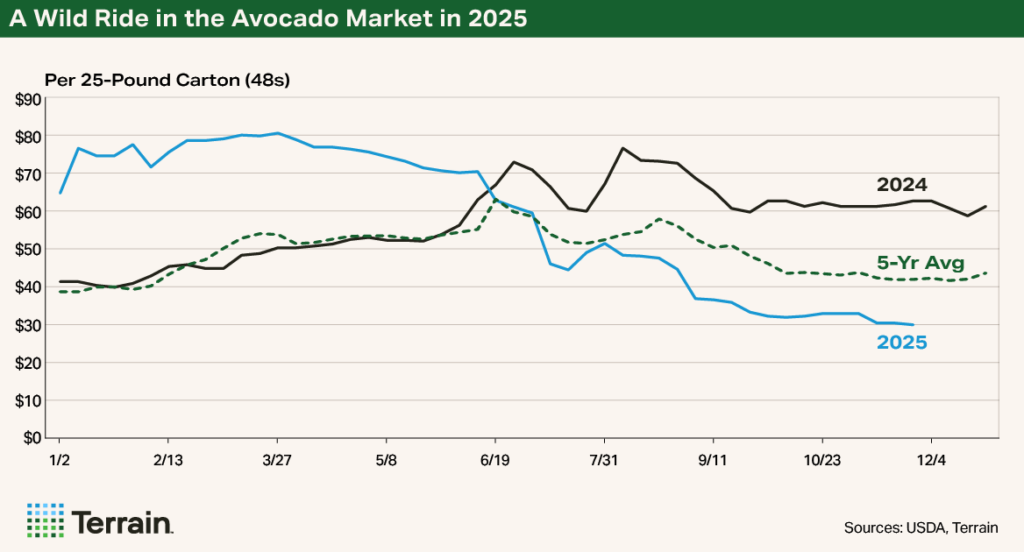 Q1 2026 Avocado Chart - A Wild Ride in the Avocado Market in 2025 Q1 2026 Avocado Chart - A Wild Ride in the Avocado Market in 2025
