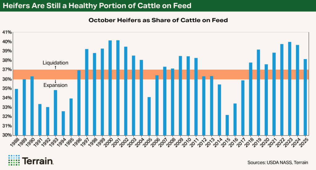NCBA Chart - Heifers Are Still a Healthy Portion of Cattle on Feed NCBA Chart - Heifers Are Still a Healthy Portion of Cattle on Feed
