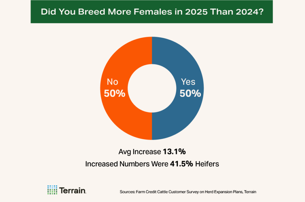 Cow-Calf Survey Chart 3 - Did You Breed More Females in 2025 Than 2024? Cow-Calf Survey Chart 3 - Did You Breed More Females in 2025 Than 2024?
