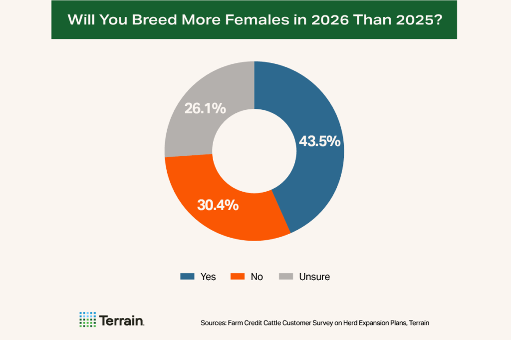 Cow-Calf Survey Chart 5 - Will You Breed More Females in 2026 Than 2025? Cow-Calf Survey Chart 5 - Will You Breed More Females in 2026 Than 2025?