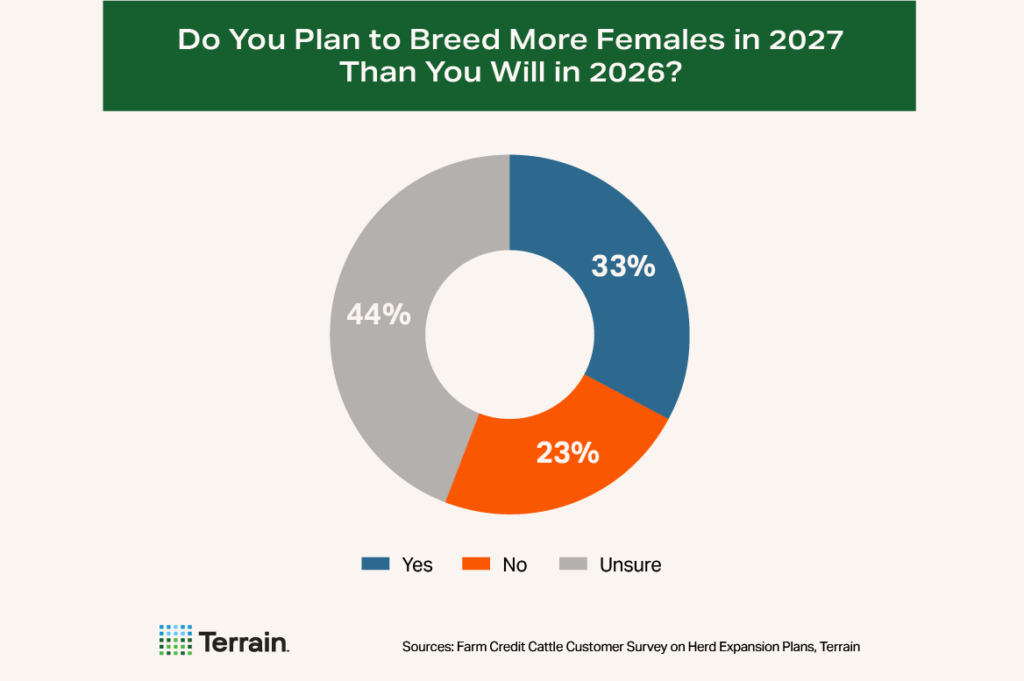 Cow-Calf Survey Chart 6 - Do You Plan to Breed More Females in 2027 Than You Will in 2026? Cow-Calf Survey Chart 6 - Do You Plan to Breed More Females in 2027 Than You Will in 2026?