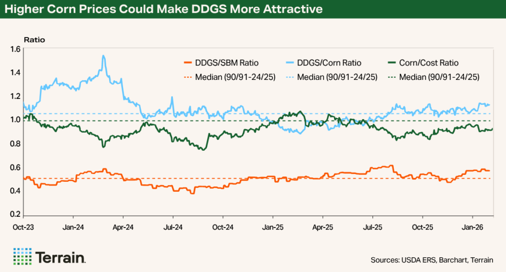 Chart March 2026 - Higher Corn Prices Could Make DDGS More Attractive Chart March 2026 - Higher Corn Prices Could Make DDGS More Attractive