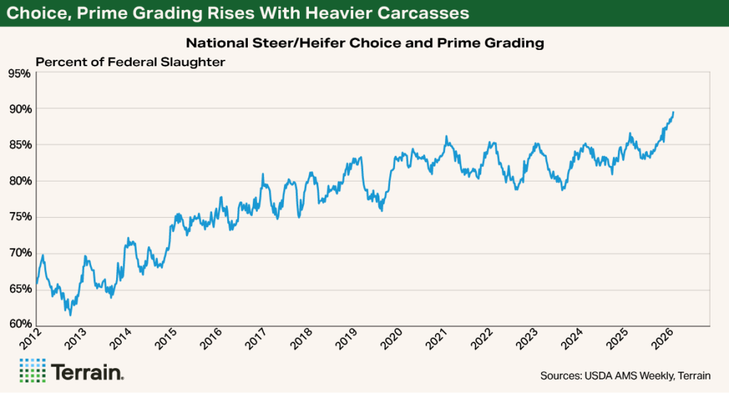 Chart 1 Beef Q2 2026 - Choice, Prime Grading Rises With Heavier Carcasses Chart 1 Beef Q2 2026 - Choice, Prime Grading Rises With Heavier Carcasses