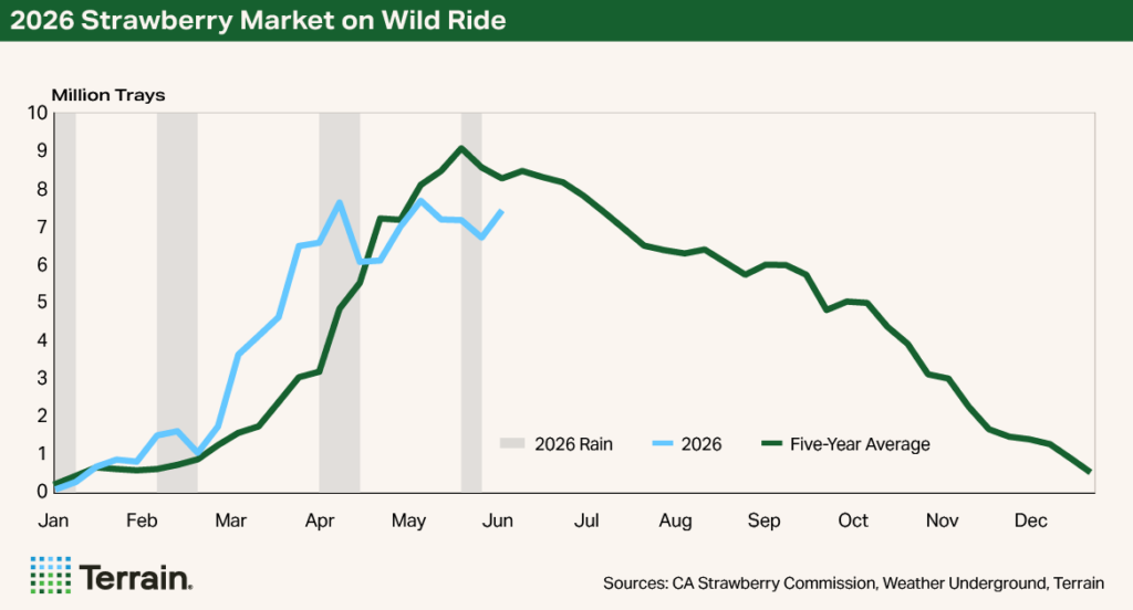 Chart Strawberries Q3 2026 - 2026 Strawberry Market on Wild Ride Chart Strawberries Q3 2026 - 2026 Strawberry Market on Wild Ride